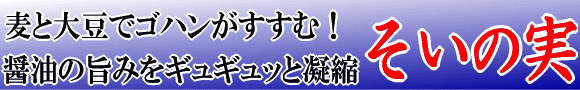 麦と大豆でご飯がすすむ!醤油の旨みをギュギュッと凝縮 そいの実(しょうゆもろみ)